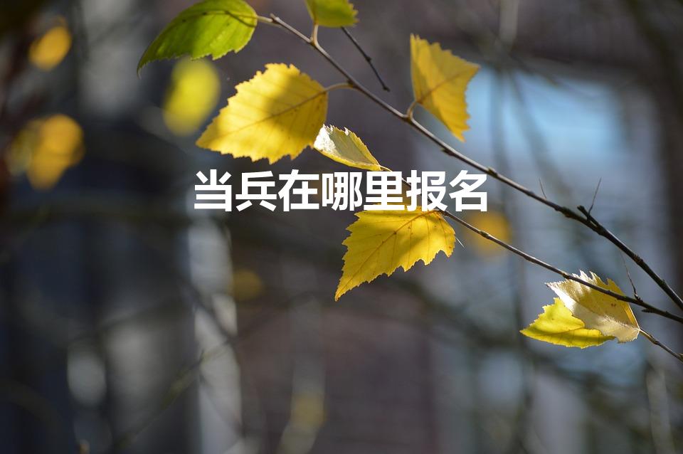当兵在哪里报名（当兵去哪里报名）