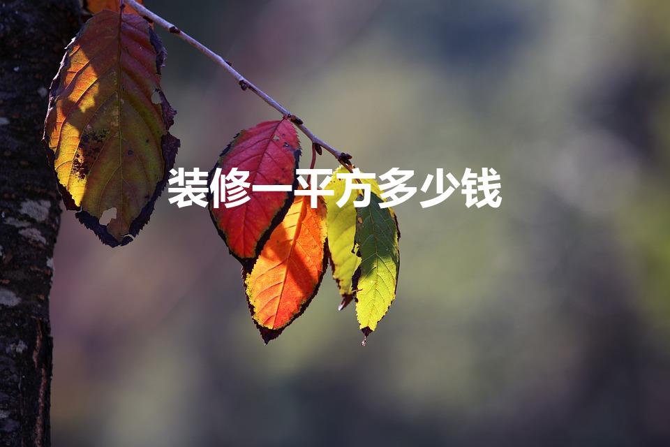 装修一平方多少钱（装修一般要多少钱）