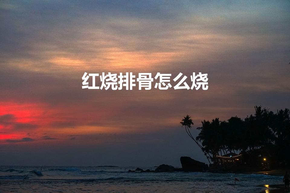 红烧排骨怎么烧（红烧排骨怎么做）