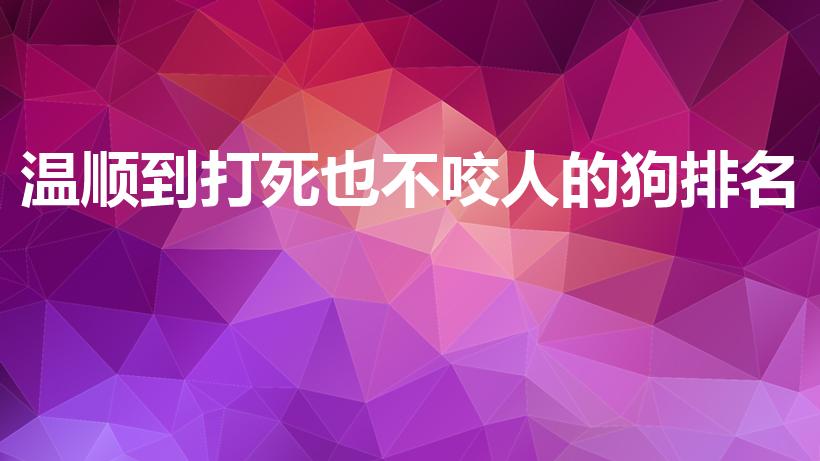 温顺到打死也不咬人的狗排名（最温顺的狗狗排名榜）