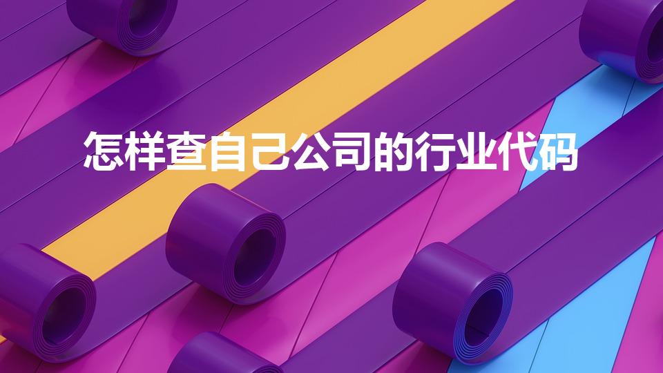 怎样查自己公司的行业代码（行业代码怎么查）