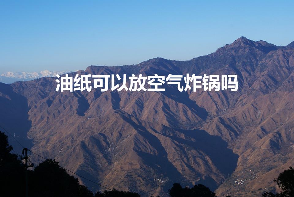 油纸可以放空气炸锅吗（空气炸锅能放油纸吗）