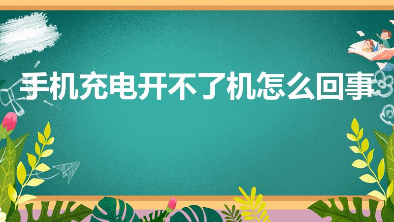 手机充电开不了机怎么回事（手机充电后开不开机是怎么回事）