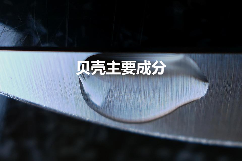 贝壳主要成分（贝壳的主要成分）