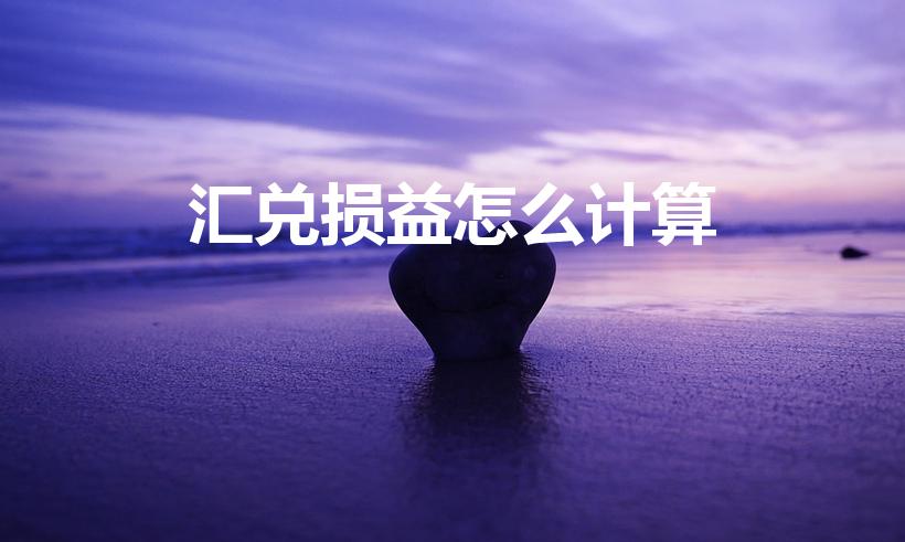 汇兑损益怎么计算（怎么计算汇兑损益）