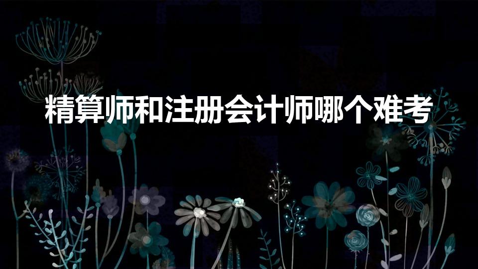 精算师和注册会计师哪个难考（最难考的证）