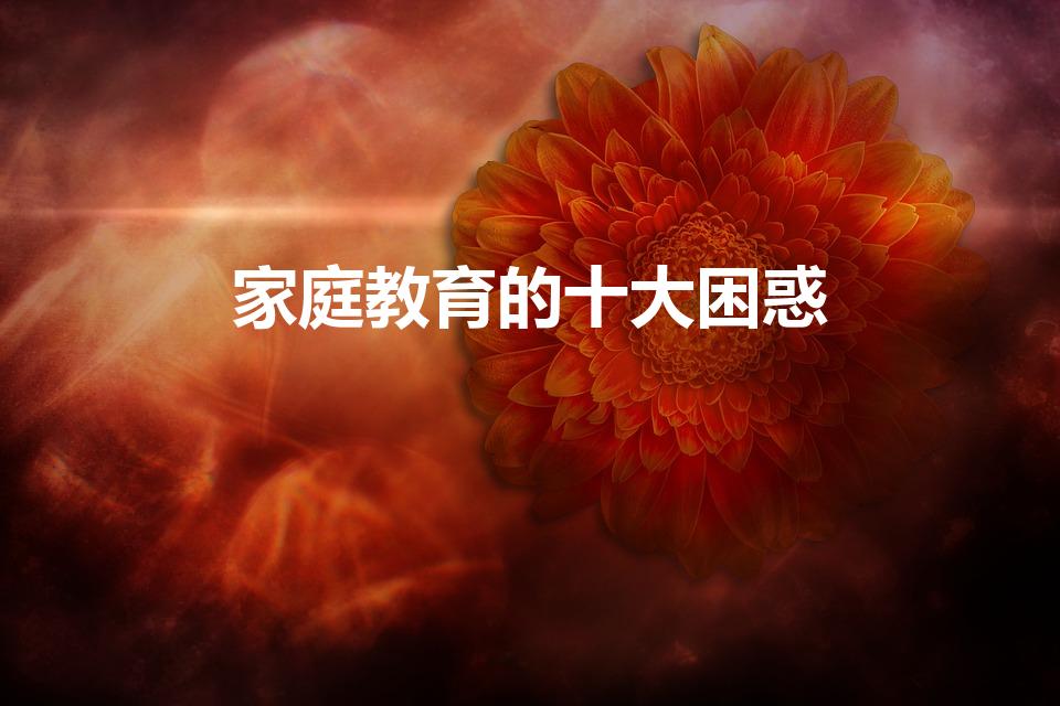家庭教育的十大困惑（家庭教育的十大问题）