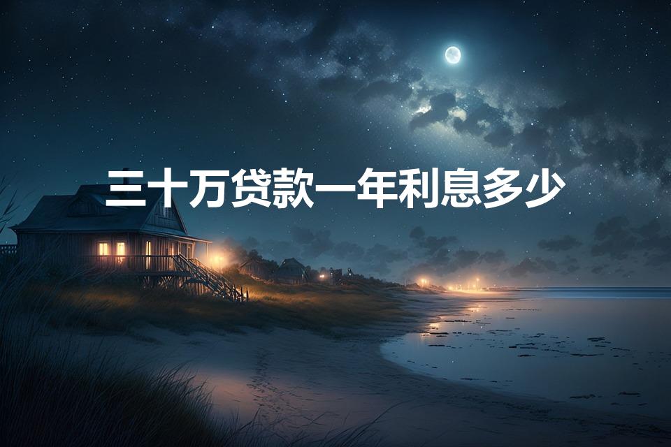 三十万贷款一年利息多少（银行贷款30万一年多少利息）