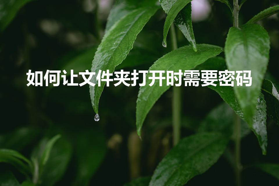 如何让文件夹打开时需要密码（如何给文件夹设置密码）