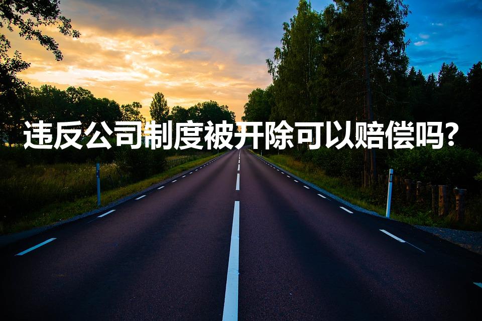 违反公司制度被开除可以赔偿吗?