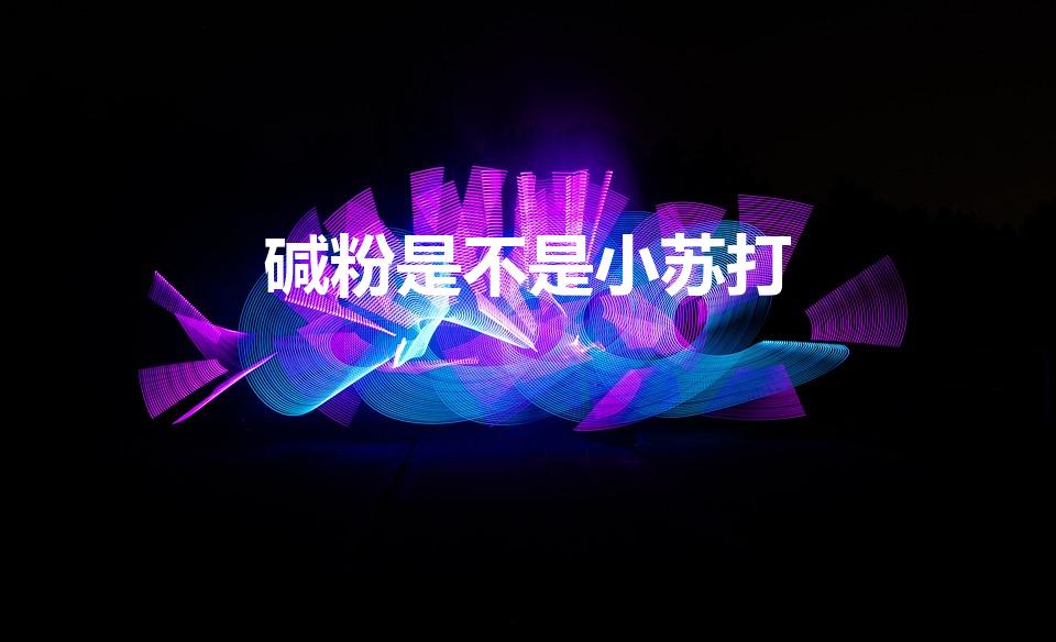 碱粉是不是小苏打（碱粉是小苏打吗）