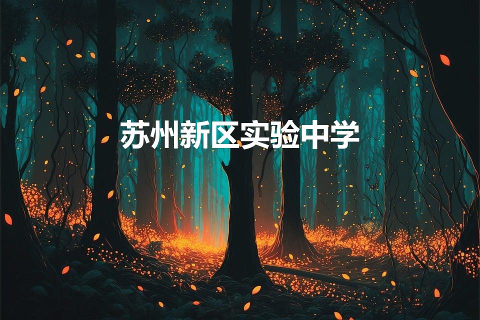 苏州新区实验中学（苏州新区实验初中怎么样）