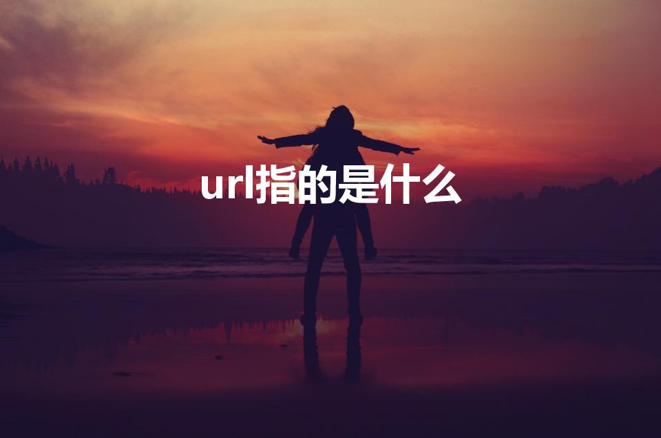url指的是什么（URL指的是什么）