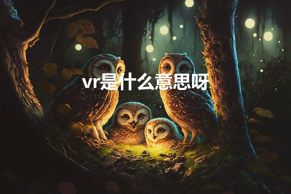 vr是什么意思呀（VR是什么意思 vr是什么意思呀）