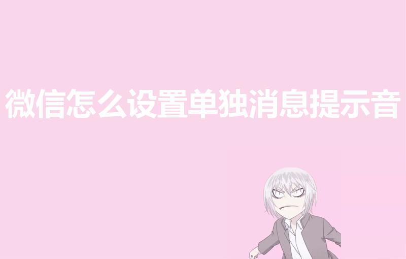 微信怎么设置单独消息提示音（微信怎么设置专属消息提示音）