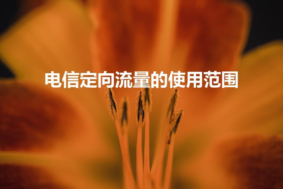 电信定向流量的使用范围（电信国内定向流量包括什么）