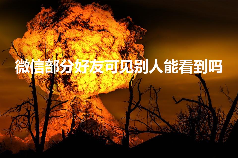 微信部分好友可见别人能看到吗（部分好友可见别人能看到吗）