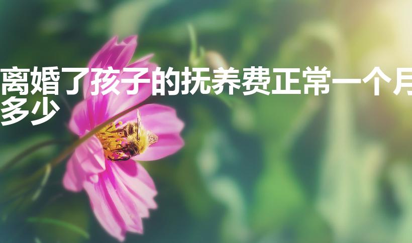 离婚了孩子的抚养费正常一个月多少