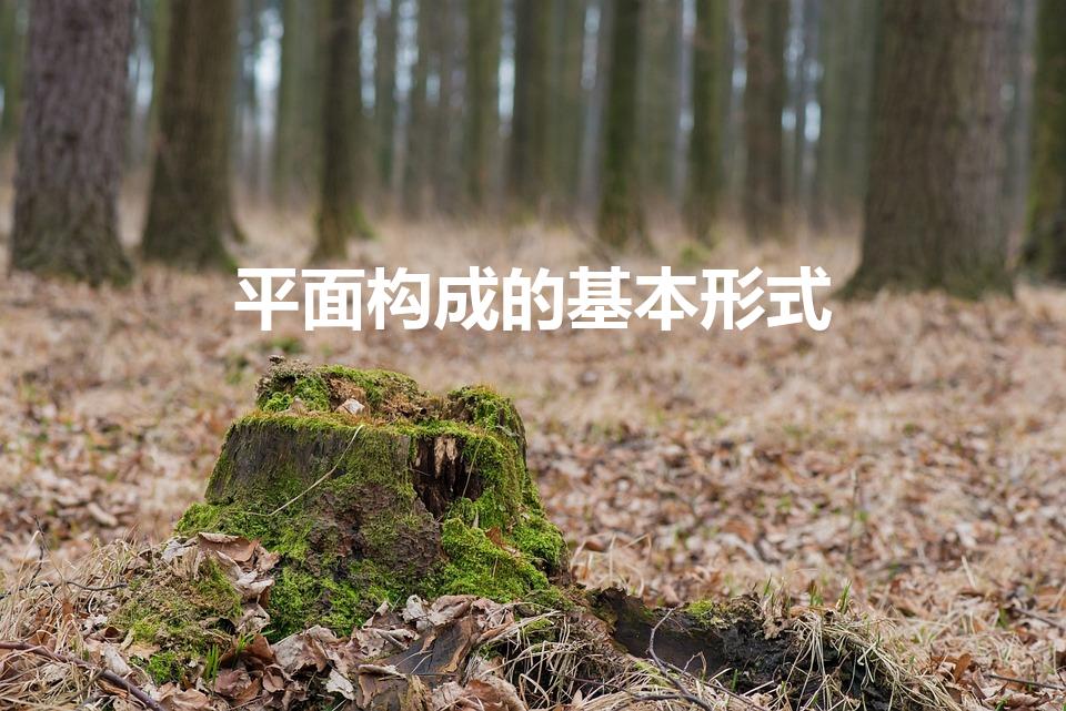 平面构成的基本形式（平面构成的八种基本形式图）