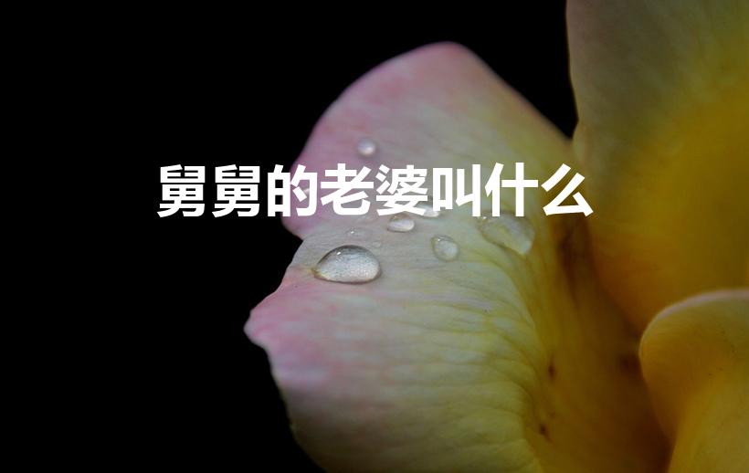 舅舅的老婆叫什么（舅舅的老婆我应该叫什么）