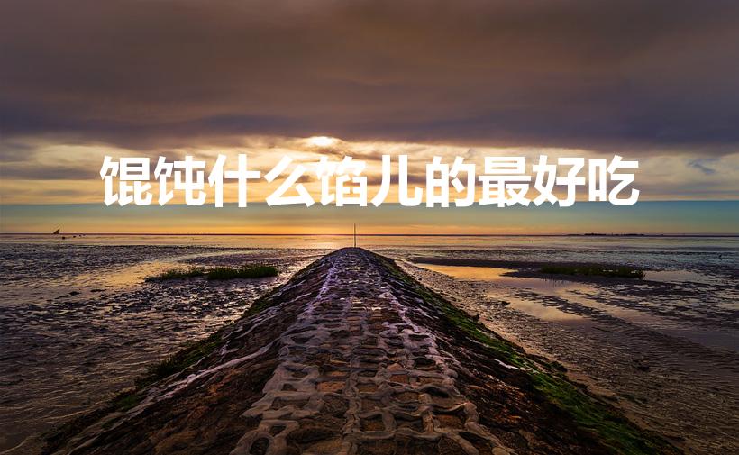 馄饨什么馅儿的最好吃（十种最好吃的馄饨馅）