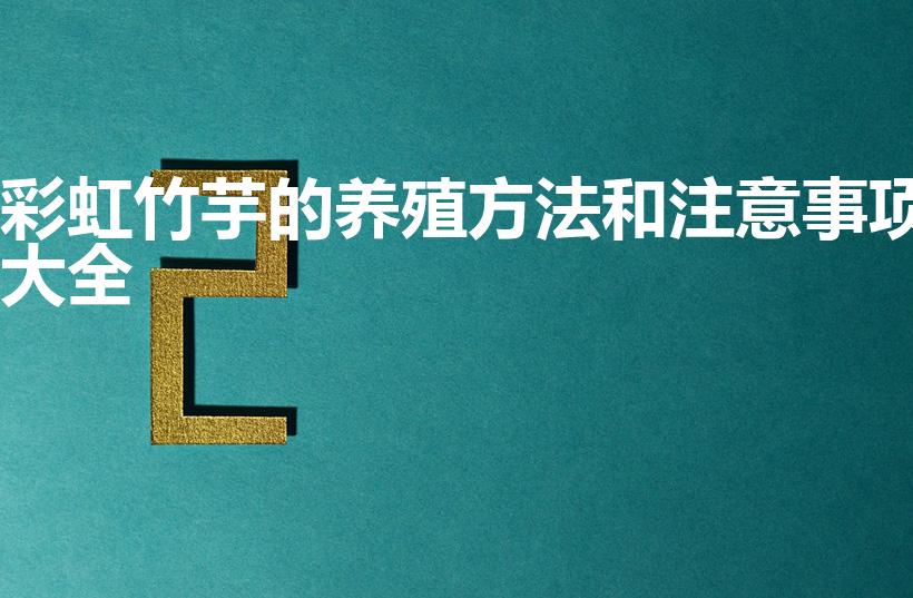 彩虹竹芋的养殖方法和注意事项大全（彩虹竹芋的培育方法）