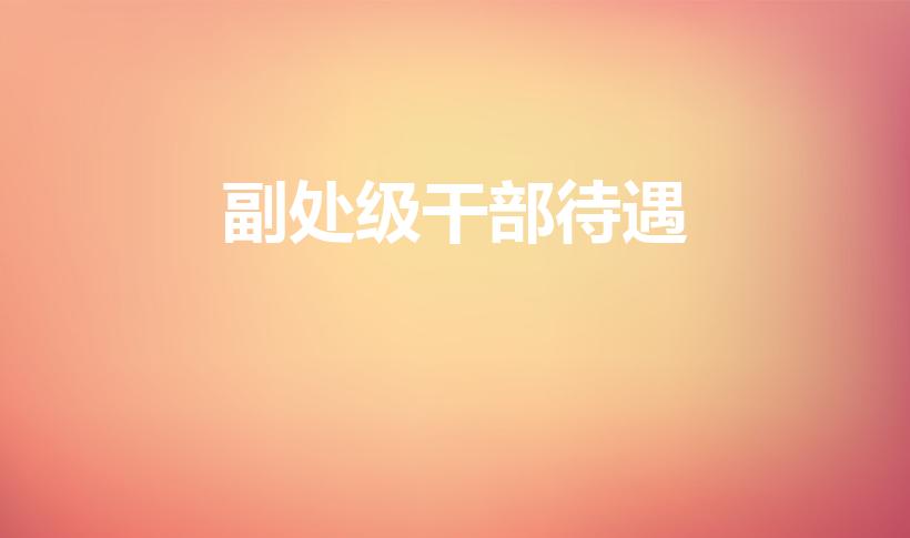副处级干部待遇（副处级干部八大待遇）
