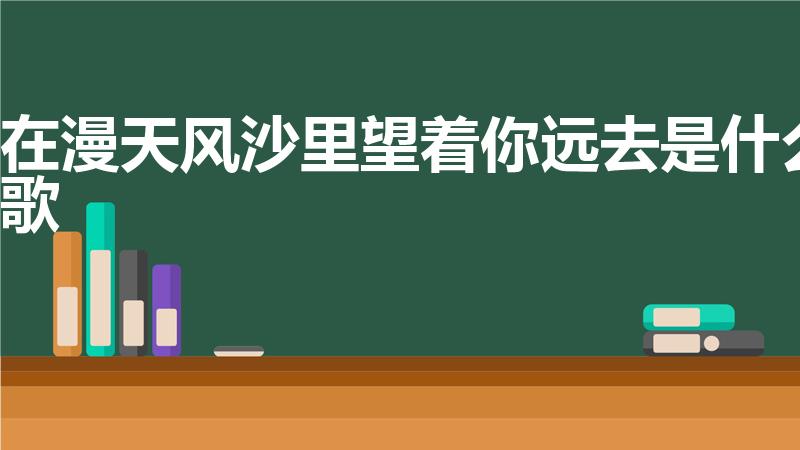 在漫天风沙里望着你远去是什么歌
