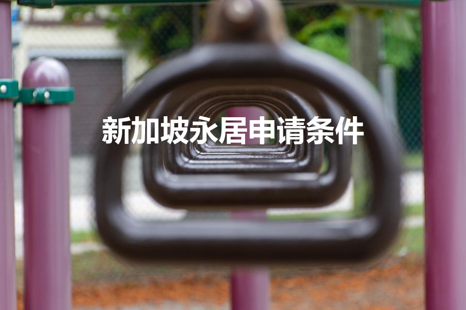 新加坡永居申请条件（新加坡永久居留权条件）