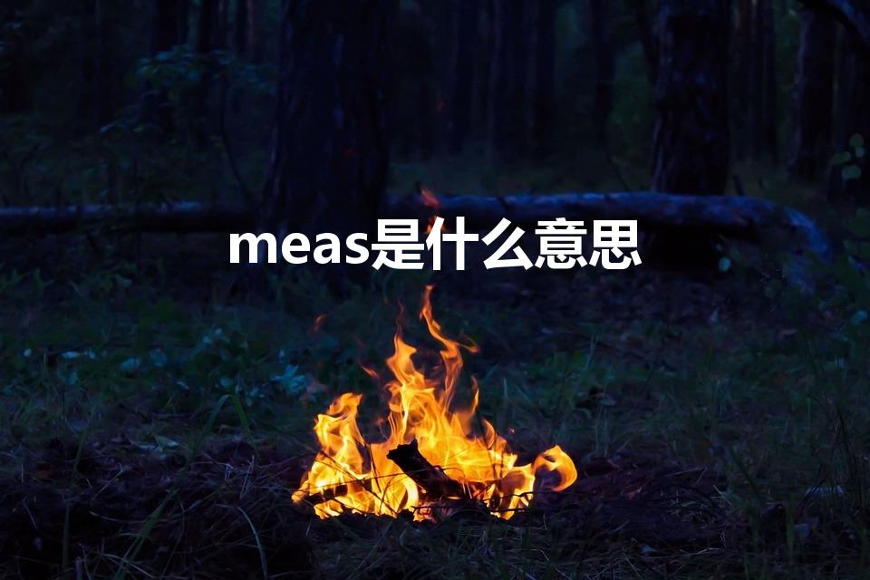 meas是什么意思（箱子meas什么意思）