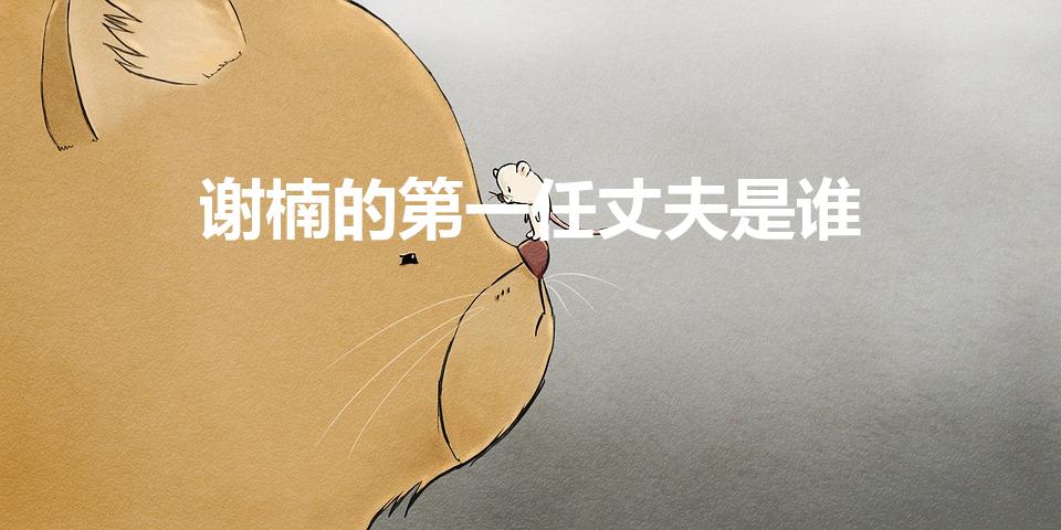 谢楠的第一任丈夫是谁（谢楠第一个老公是谁）
