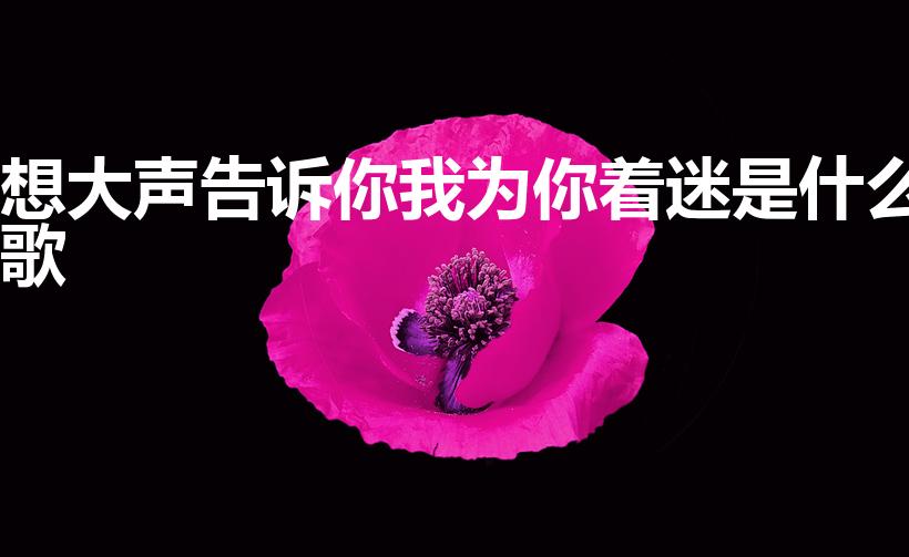想大声告诉你我为你着迷是什么歌