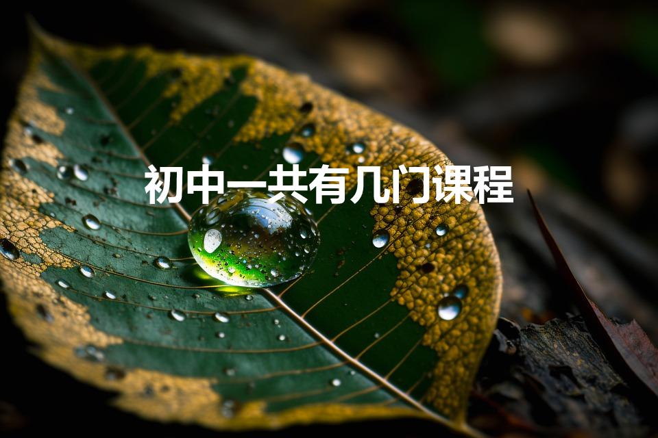 初中一共有几门课程（初中有几门学科）