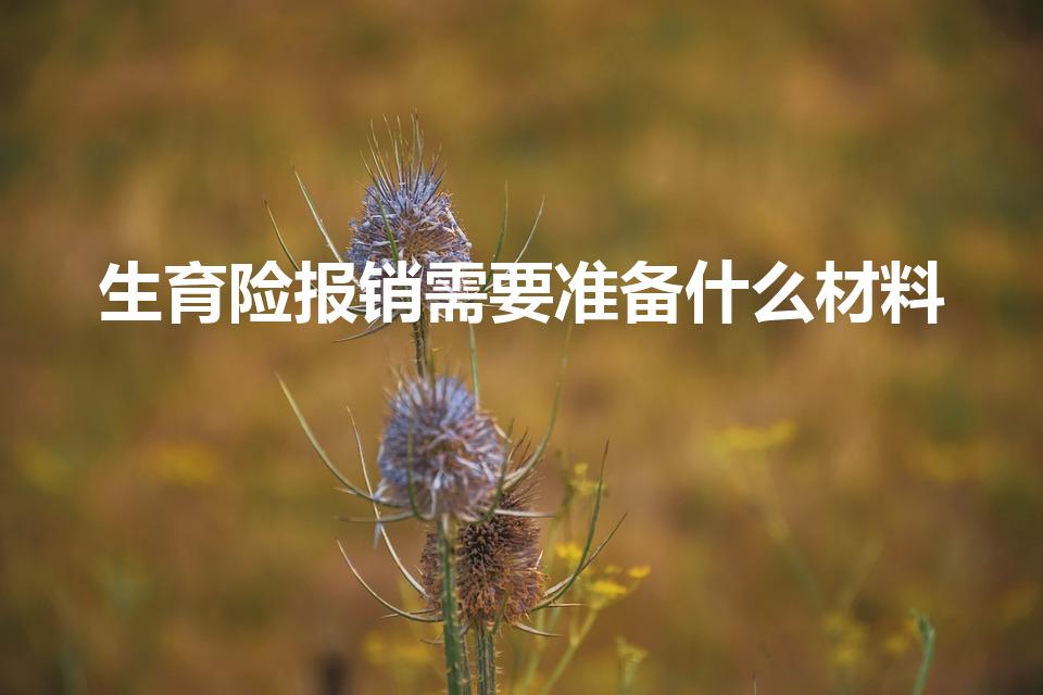 生育险报销需要准备什么材料（生育报销要哪些资料）
