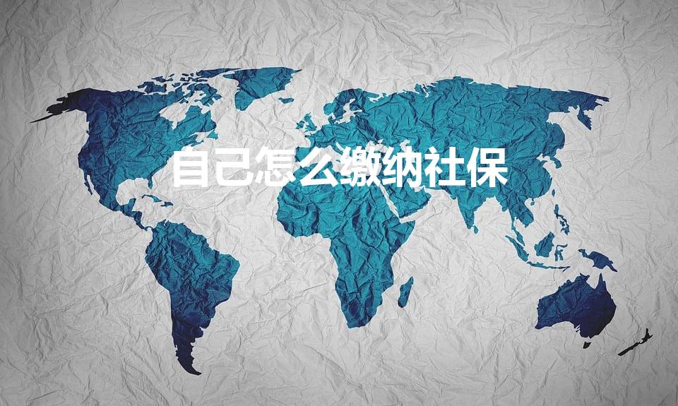 自己怎么缴纳社保（如何自己交社保）