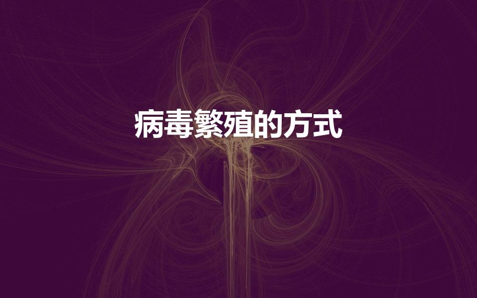 病毒繁殖的方式（病毒怎么繁殖）