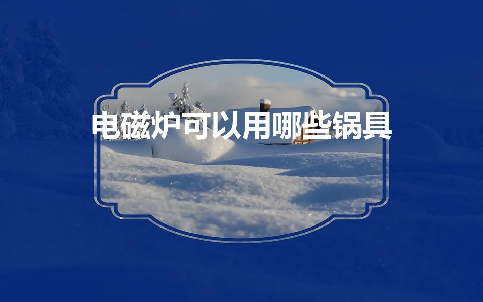 电磁炉可以用哪些锅具（电磁炉用什么锅好）