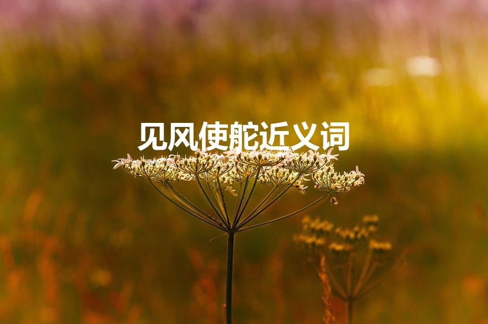 见风使舵近义词(见风使舵的近义词是什么)