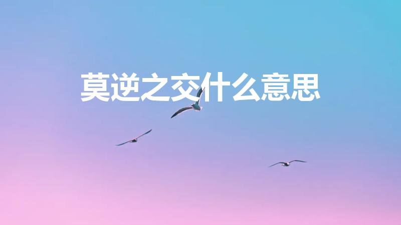 莫逆之交什么意思（莫逆之交的意思是什么）