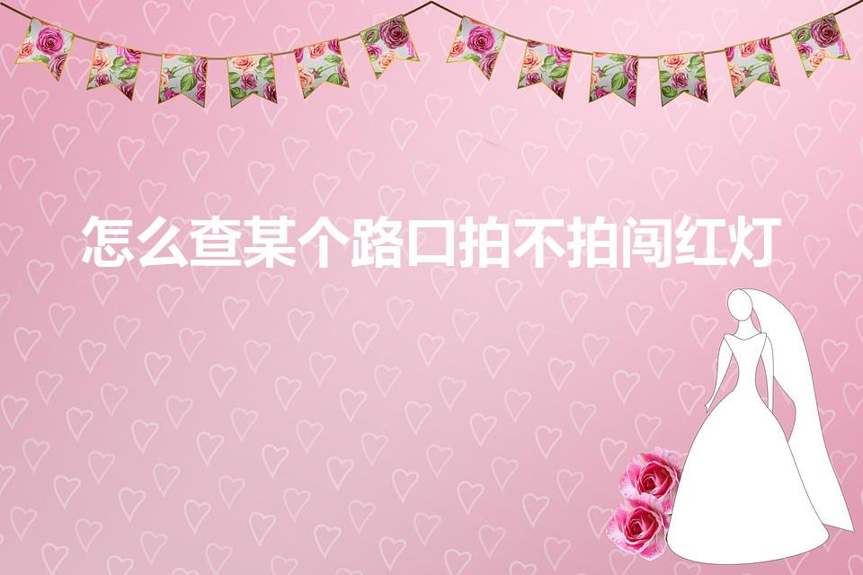 怎么查某个路口拍不拍闯红灯