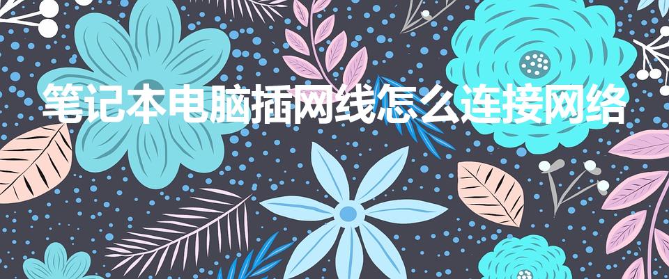 笔记本电脑插网线怎么连接网络（笔记本怎么直接用网线上网）