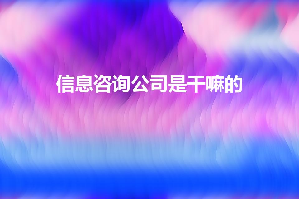 信息咨询公司是干嘛的（信息咨询公司是干什么的）