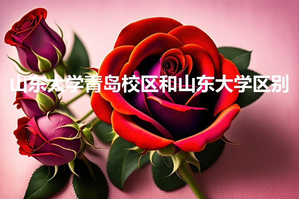 山东大学青岛校区和山东大学区别（山东大学有几个校区）