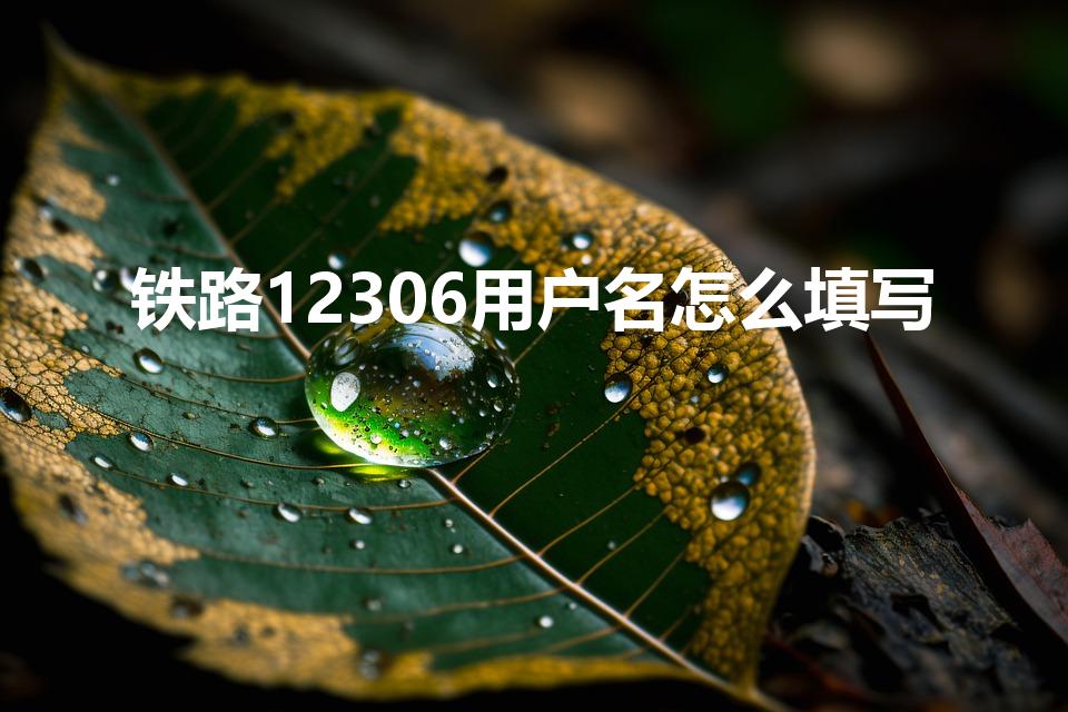铁路12306用户名怎么填写（12306的用户名怎么填）