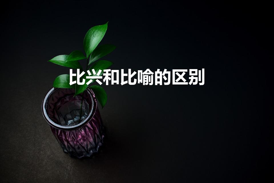 比兴和比喻的区别（比喻,比兴和类比的区别）