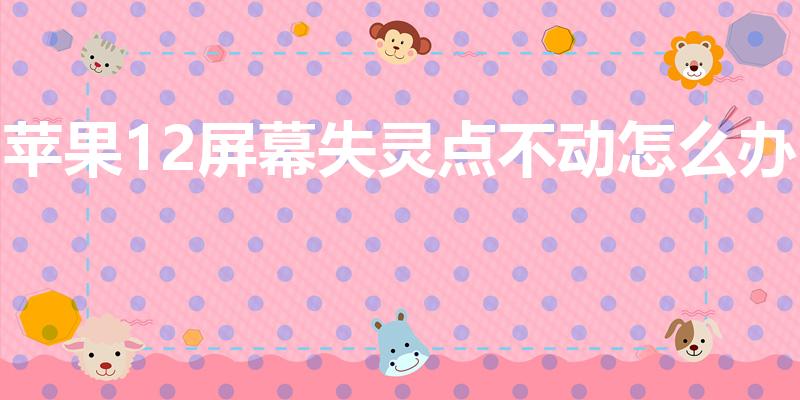 苹果12屏幕失灵点不动怎么办