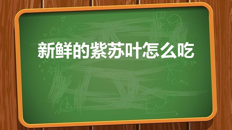 新鲜的紫苏叶怎么吃（紫苏叶的吃法 紫苏叶怎么吃）