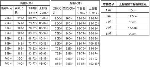 胸围75b是多大尺码（75B胸围尺码解析）