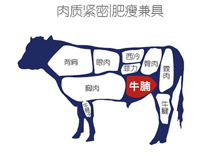牛腩是哪个部位的肉(牛腩肉的部位在哪里)