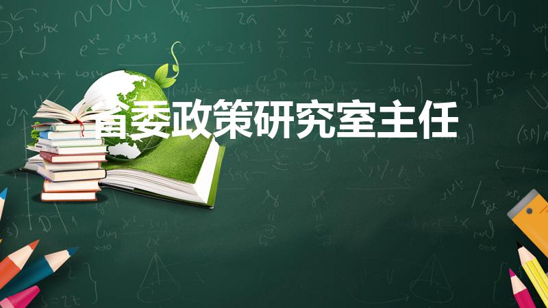 省委政策研究室主任（曾雁来什么电视剧）